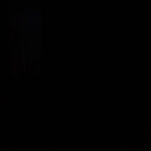 Meet your Posher, Max